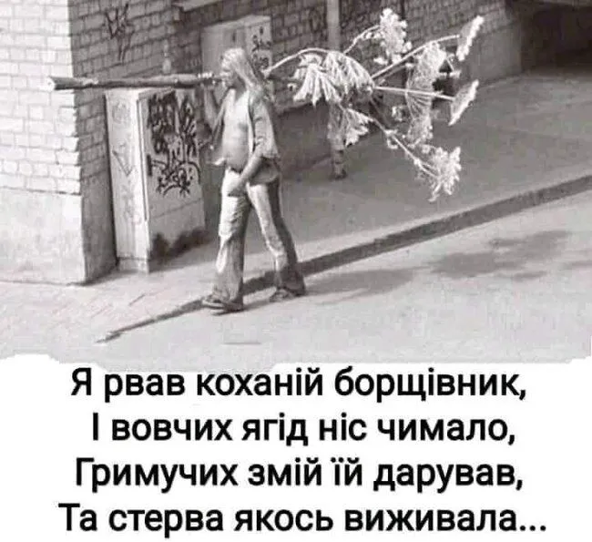 FB_IMG_1636143908358.webp