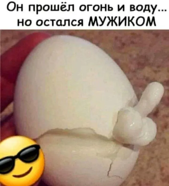 FB_IMG_1636210829359.webp