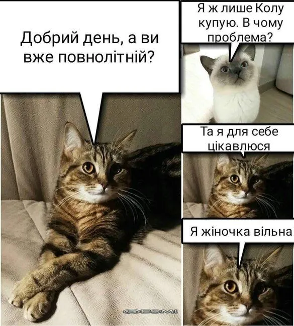 FB_IMG_1636212941414.webp