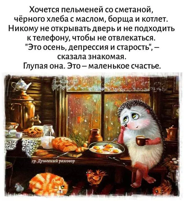 FB_IMG_1636213875105.webp