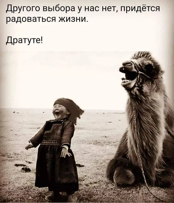 FB_IMG_1636271696873.webp