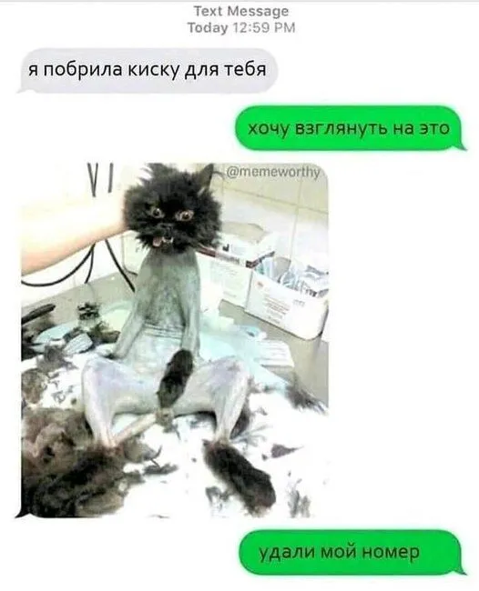 FB_IMG_1636361895304.webp
