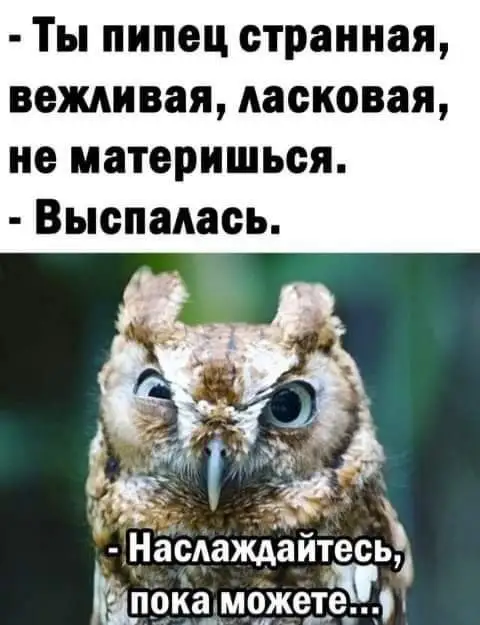 FB_IMG_1636451576244.webp