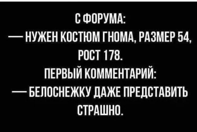 FB_IMG_1636451736007.webp