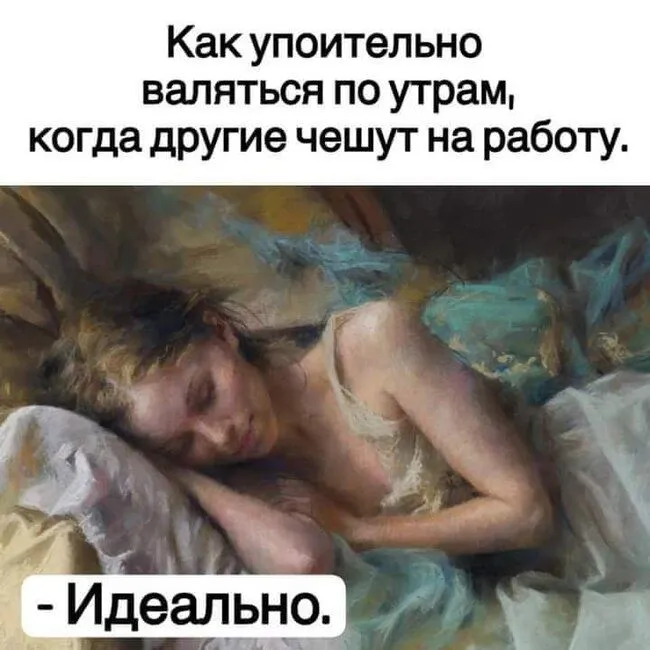 FB_IMG_1636578531382.webp