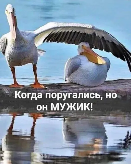 FB_IMG_1636713771041.webp