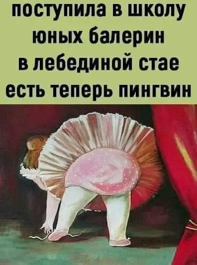 FB_IMG_1636734867440.webp