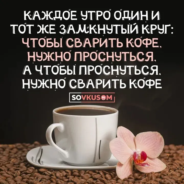 FB_IMG_1636749484679.webp