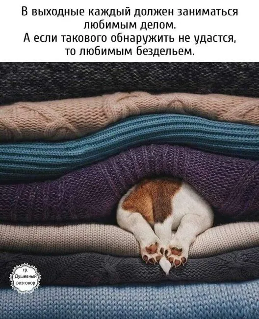 FB_IMG_1636873576208.webp