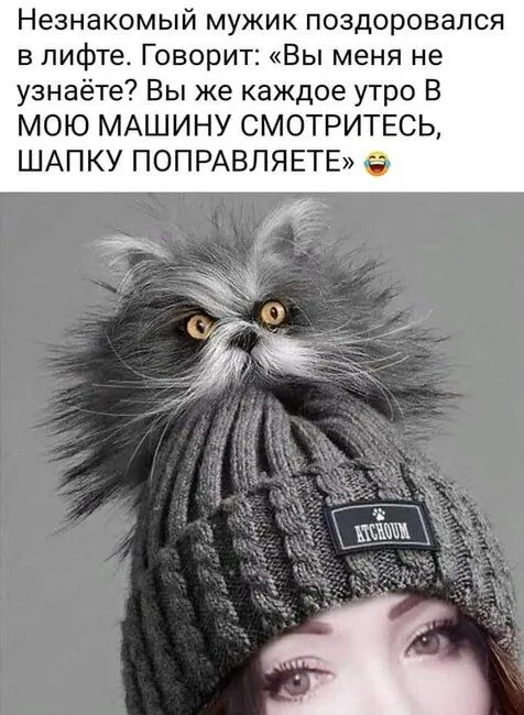 FB_IMG_1636896944666.webp