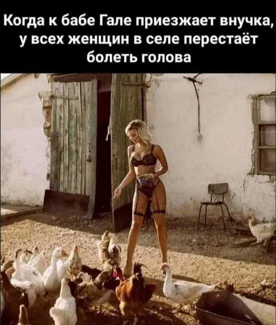 FB_IMG_1636912458159.webp