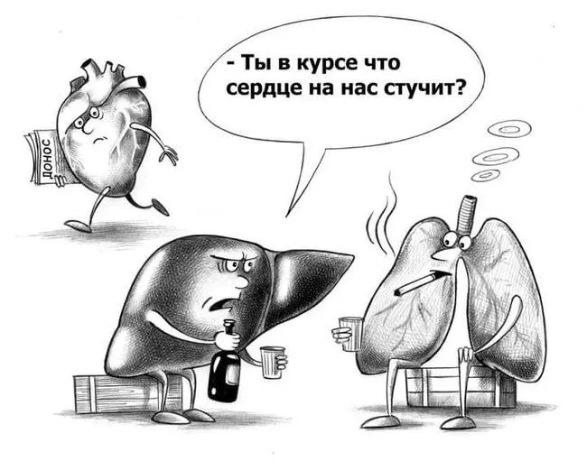 FB_IMG_1636928330064.webp