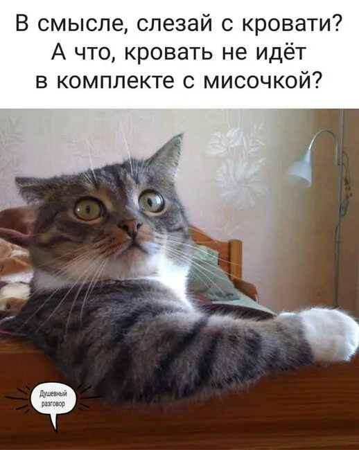 FB_IMG_1636959676330.webp
