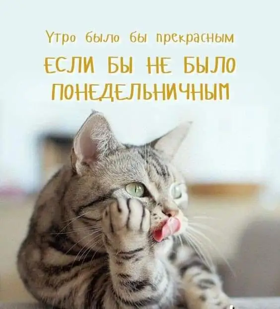 FB_IMG_1636959832887.webp