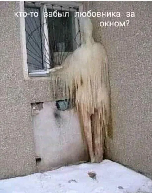 FB_IMG_1637001408155.webp