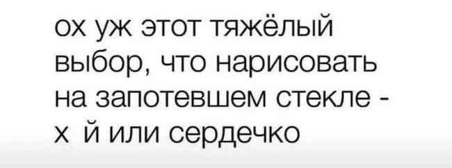FB_IMG_1637004397131.webp