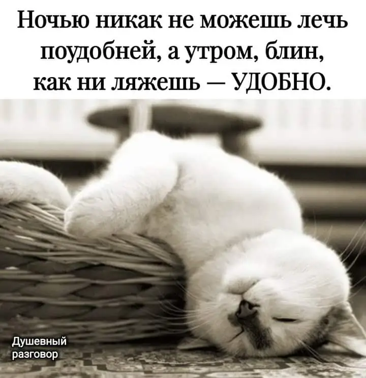 FB_IMG_1637046358458.webp
