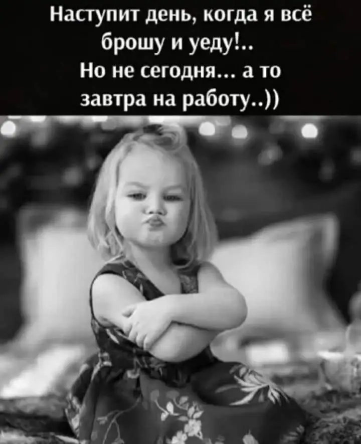 FB_IMG_1637082431314.webp