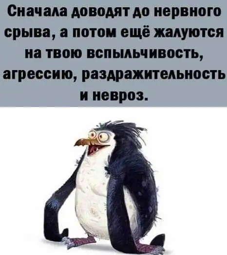 FB_IMG_1637146671385.webp