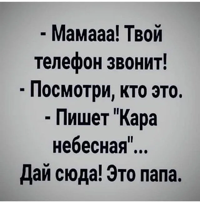 FB_IMG_1637147846555.webp