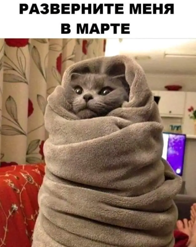 FB_IMG_1637163453826.webp