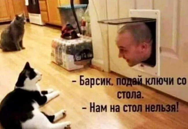 FB_IMG_1637166563851.webp