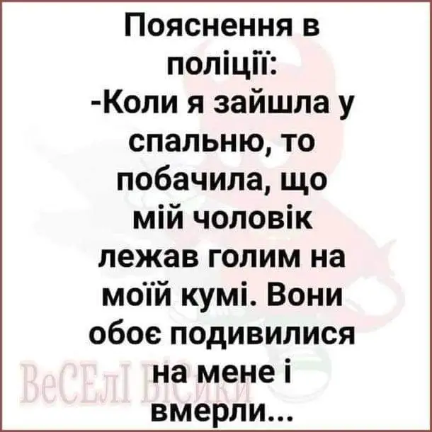 FB_IMG_1637171348931.webp
