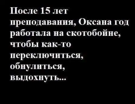 FB_IMG_1637217861063.webp