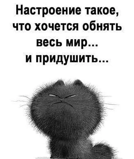 FB_IMG_1637231106360.webp