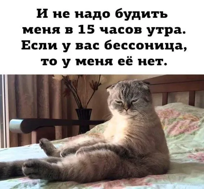 FB_IMG_1637234748134.webp
