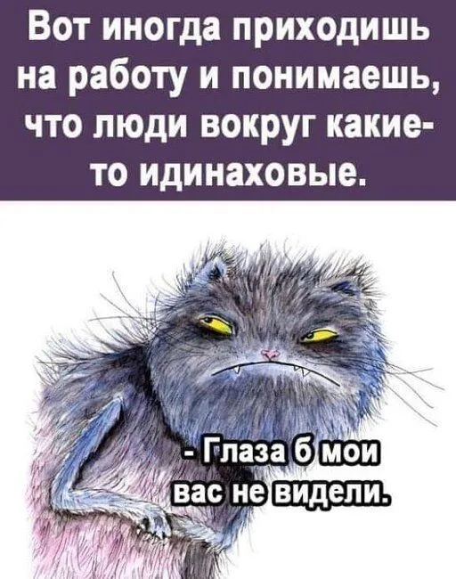 FB_IMG_1637252800046.webp