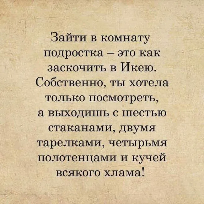 FB_IMG_1637255217875.webp
