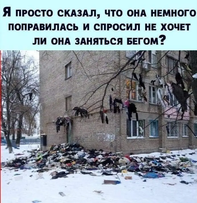 FB_IMG_1637258025145.webp