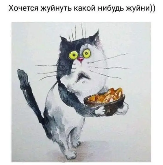 FB_IMG_1637270610504.webp