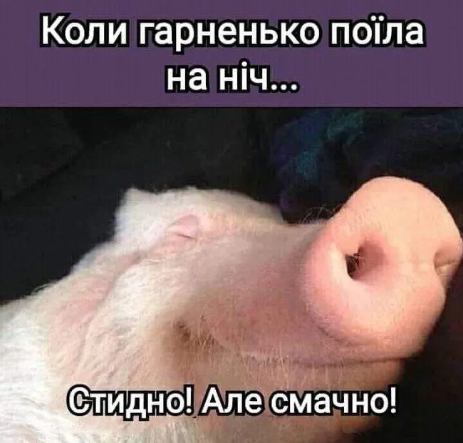 FB_IMG_1637305590215.webp