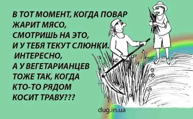 FB_IMG_1637328246911.webp
