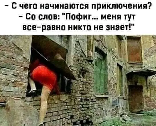 FB_IMG_1637332091758.webp