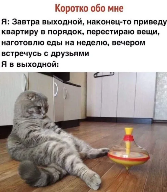 FB_IMG_1637349824883.webp