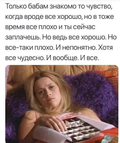 FB_IMG_1637404842250.webp
