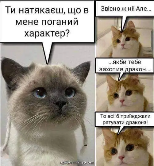 FB_IMG_1637415273745.webp