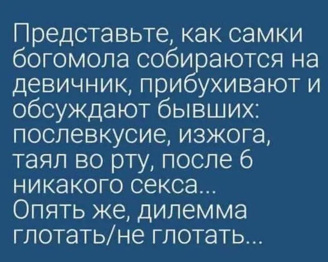 FB_IMG_1637445249845.webp