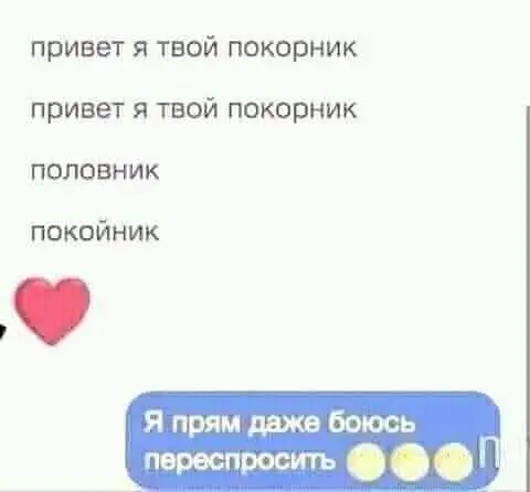 FB_IMG_1637525822943.webp