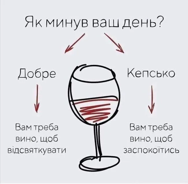FB_IMG_1637532783837.webp