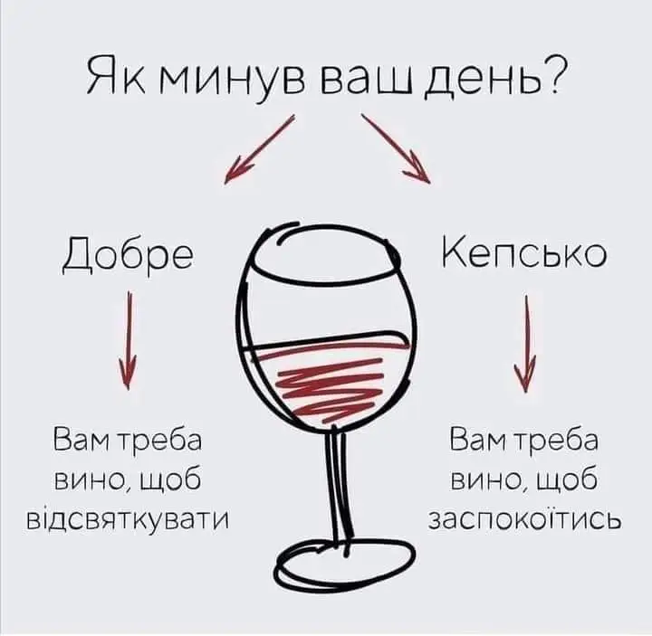 FB_IMG_1637532783837.webp