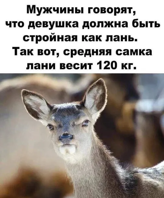 FB_IMG_1637583653403.webp