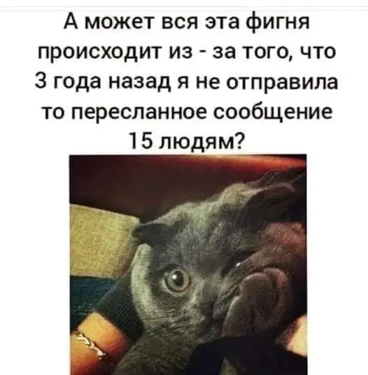 FB_IMG_1637666325929.webp