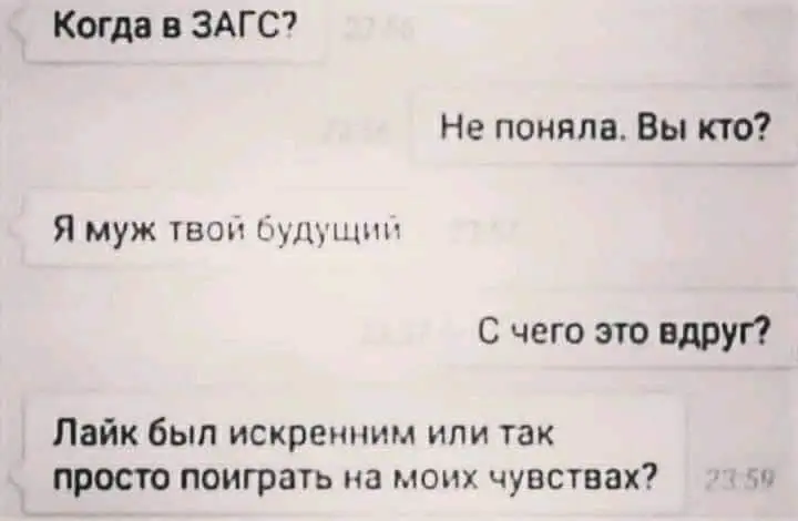 FB_IMG_1637696153610.webp