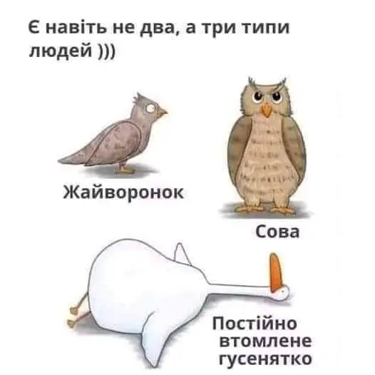 FB_IMG_1637738253181.jpg