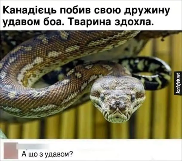 FB_IMG_1637745498776.webp
