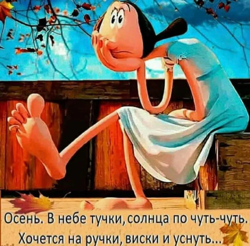 FB_IMG_1637828901286.webp